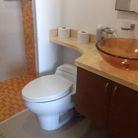 Apartamento Palmetto Apartment